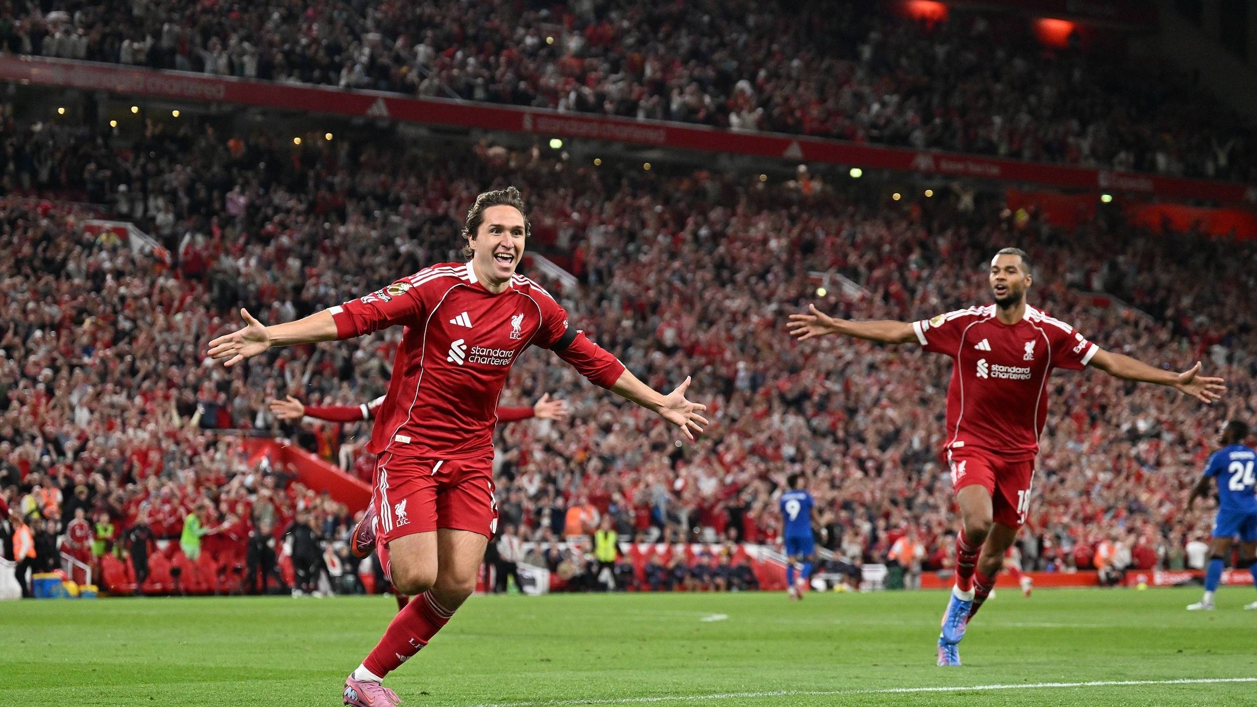 情和投入 情和投入