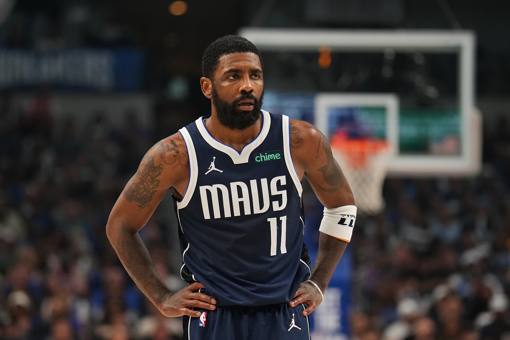 赞助的放大 赞助的放大