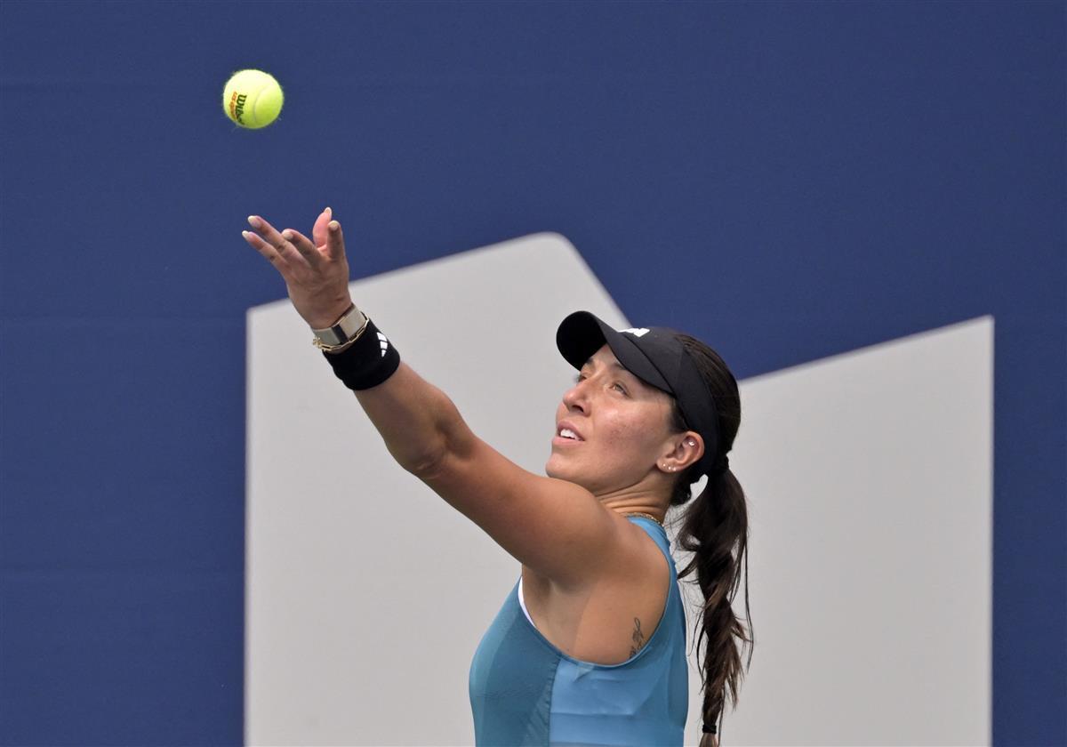 的保险丝 的保险丝