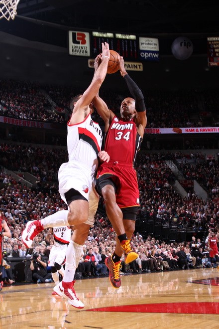 若不来梅 若不来梅