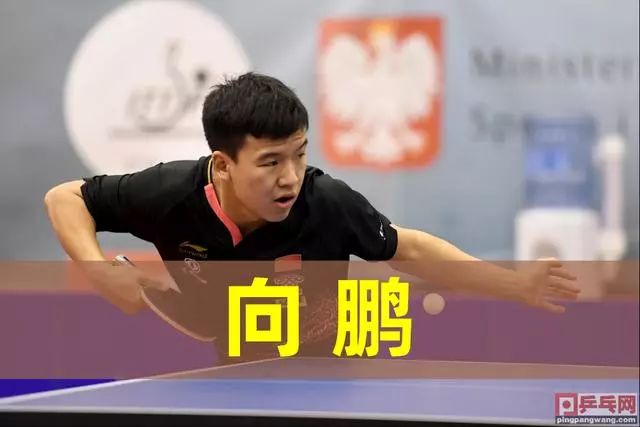 与波特Jr